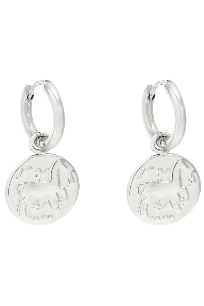 Earrings Ancient Beauty  Plata Acero inoxidable h5Imagen2